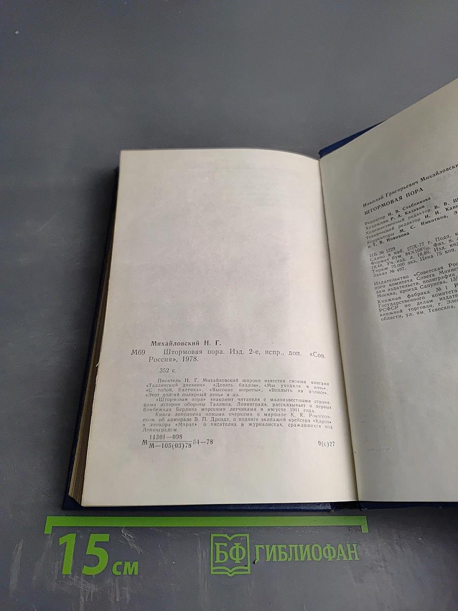 Штормовая пора