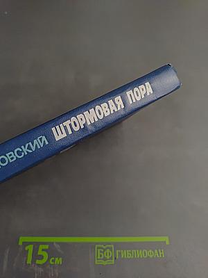 Штормовая пора