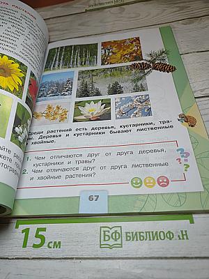 Окружающий мир для 2 класса. Часть 1