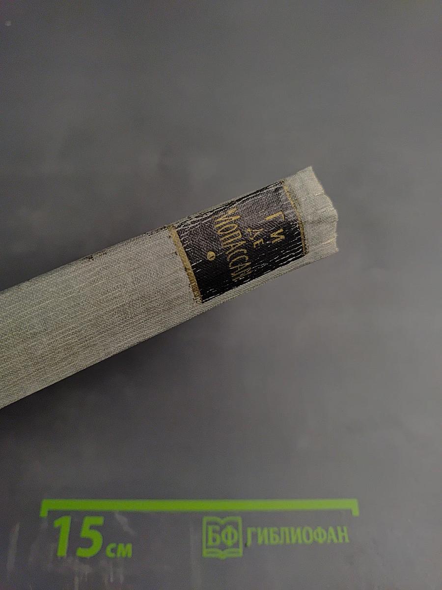 Полное собрание сочинений в двенадцати томах. Том 4