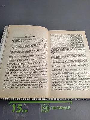 Тарзан Великолепный. Тарзан и Запретный Город