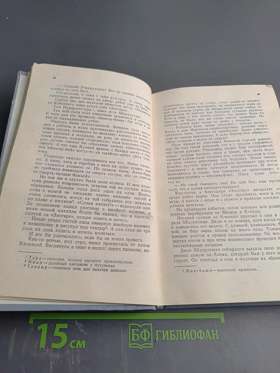 Сказки о былом. Озорник