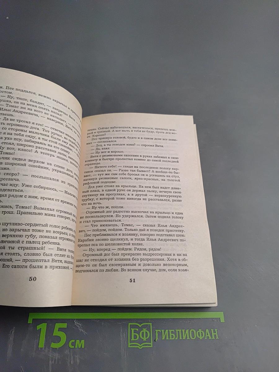 Комбат в западне