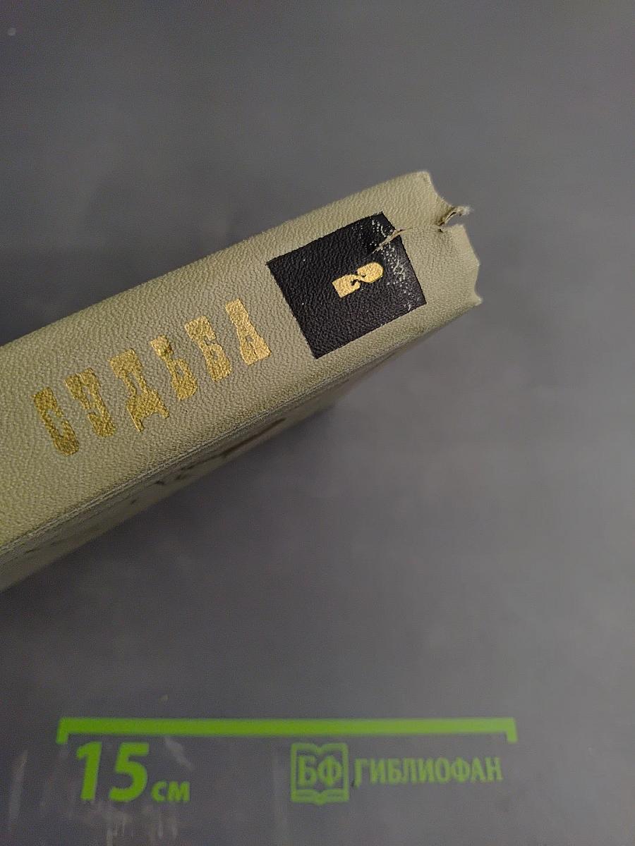 Судьба. Том 2