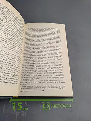 Почти как в жизни