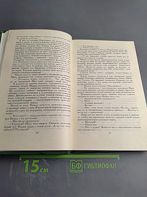 Тихий Дон. Том 3 (Собрание сочинений М.А. Шолохова в 8 томах)