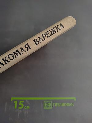 Знакомая варежка