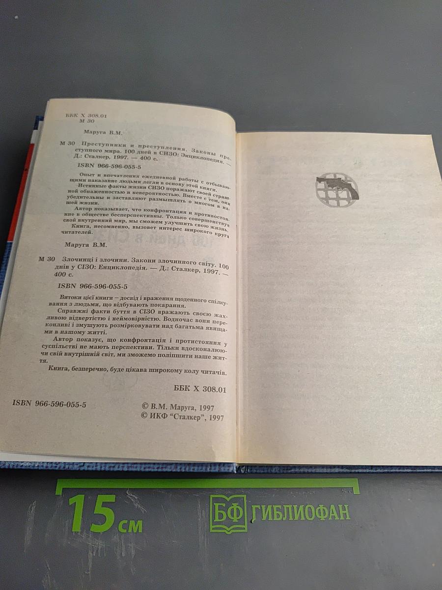 Преступники и преступления: Законы преступного мира. 100 дней в СИЗО
