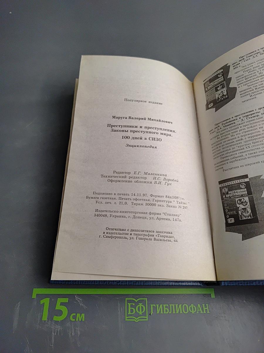 Преступники и преступления: Законы преступного мира. 100 дней в СИЗО