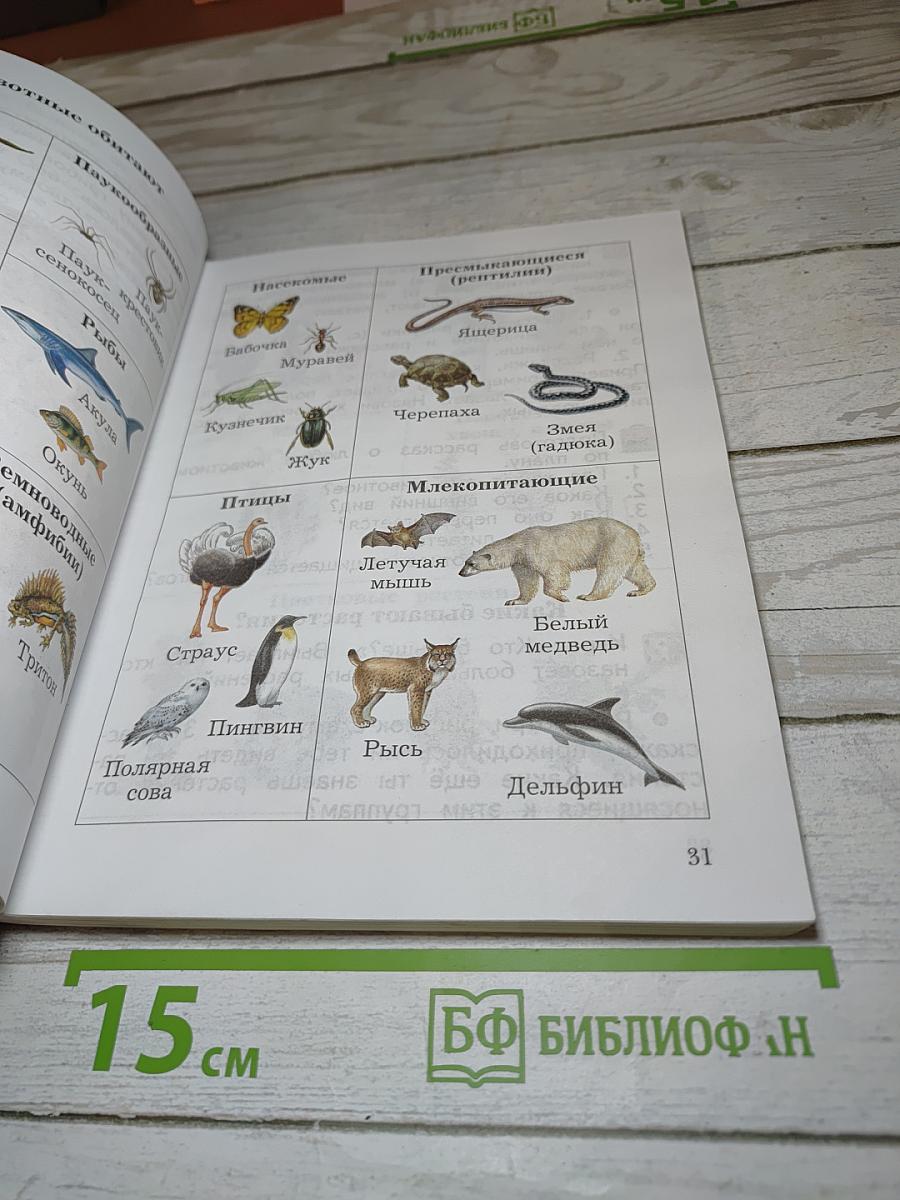 Окружающий мир 2 класс Часть вторая