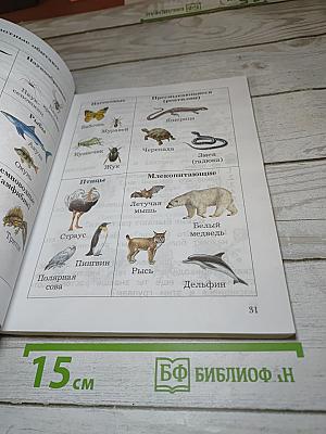 Окружающий мир 2 класс Часть вторая