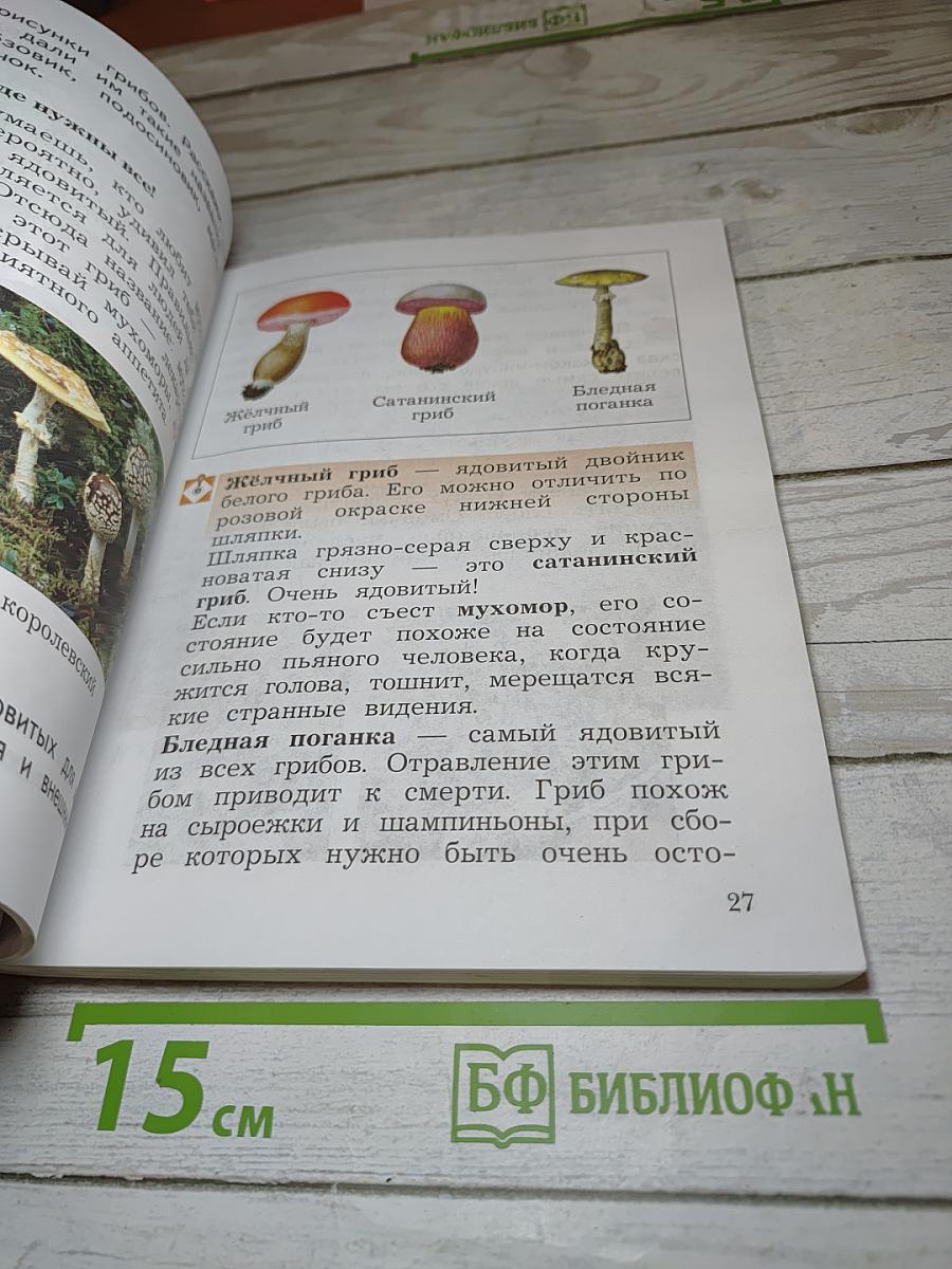 Окружающий мир 2 класс Часть вторая