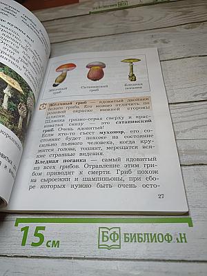 Окружающий мир 2 класс Часть вторая