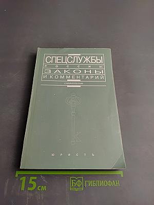 Спецслужбы России: Законы и комментарий