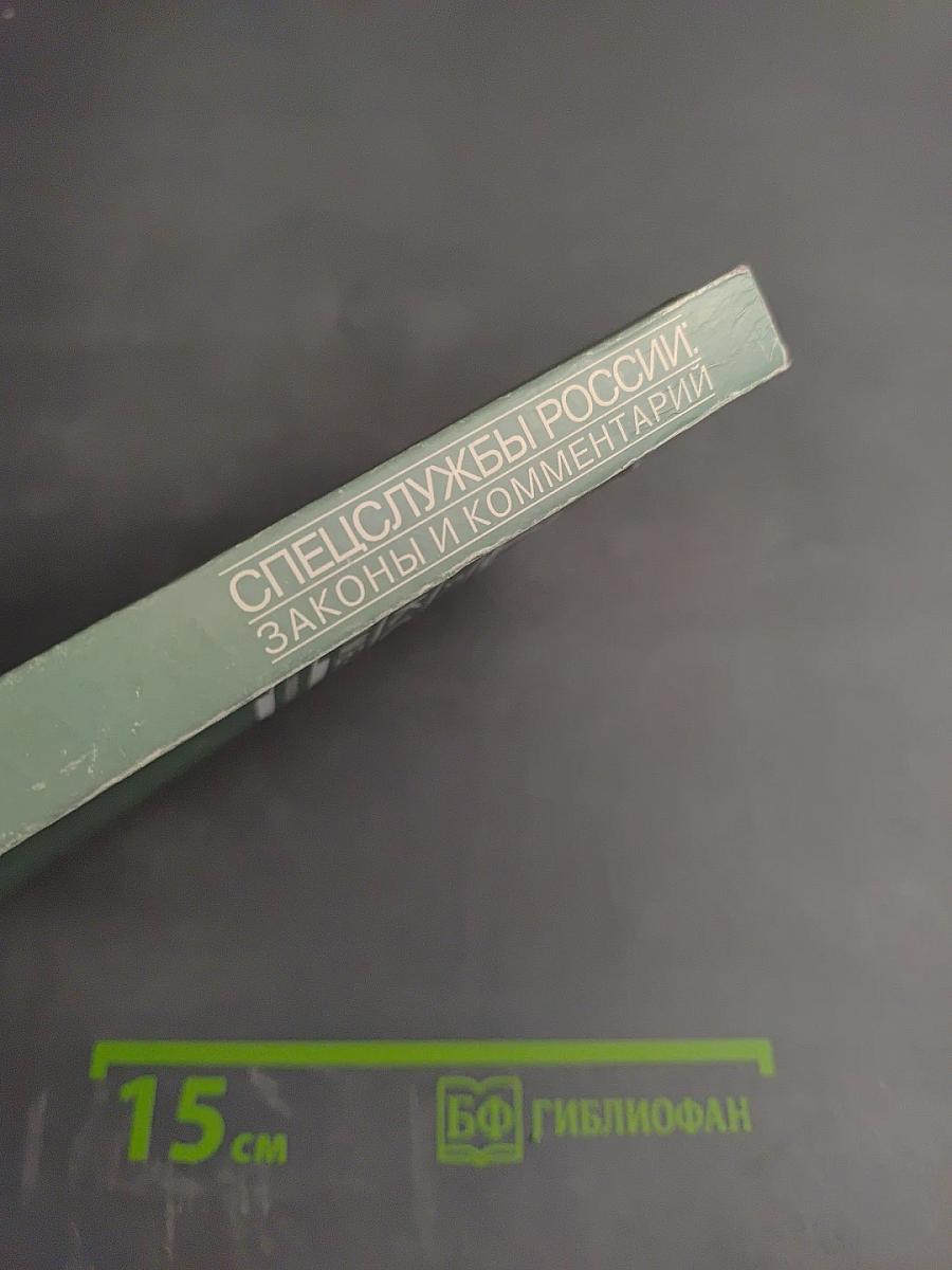 Спецслужбы России: Законы и комментарий