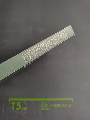 Спецслужбы России: Законы и комментарий