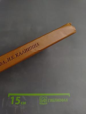 Современная русская орфография