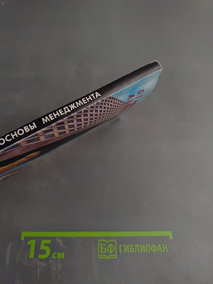 Основы менеджмента