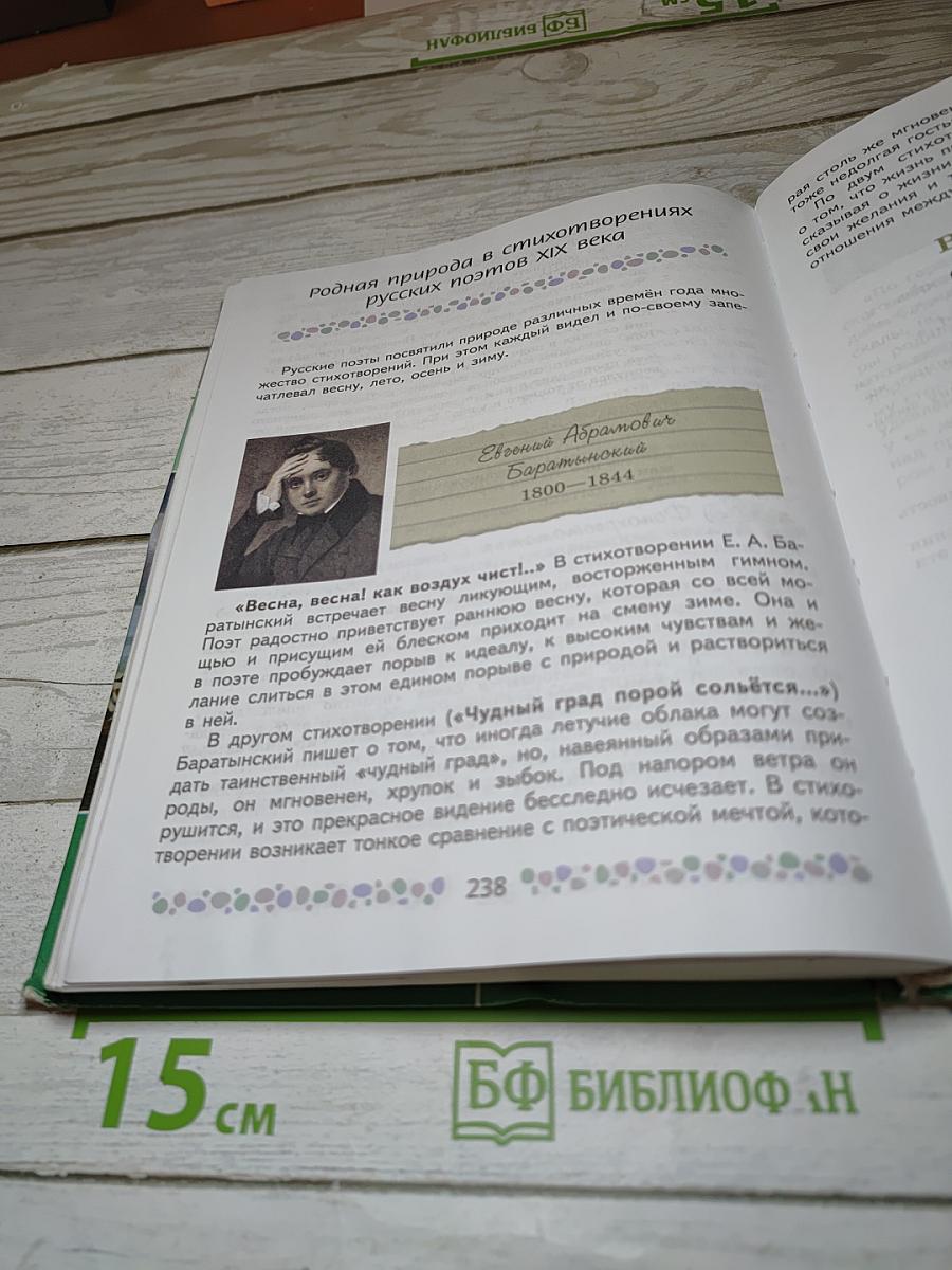 Литература. 6 класс. Часть 1