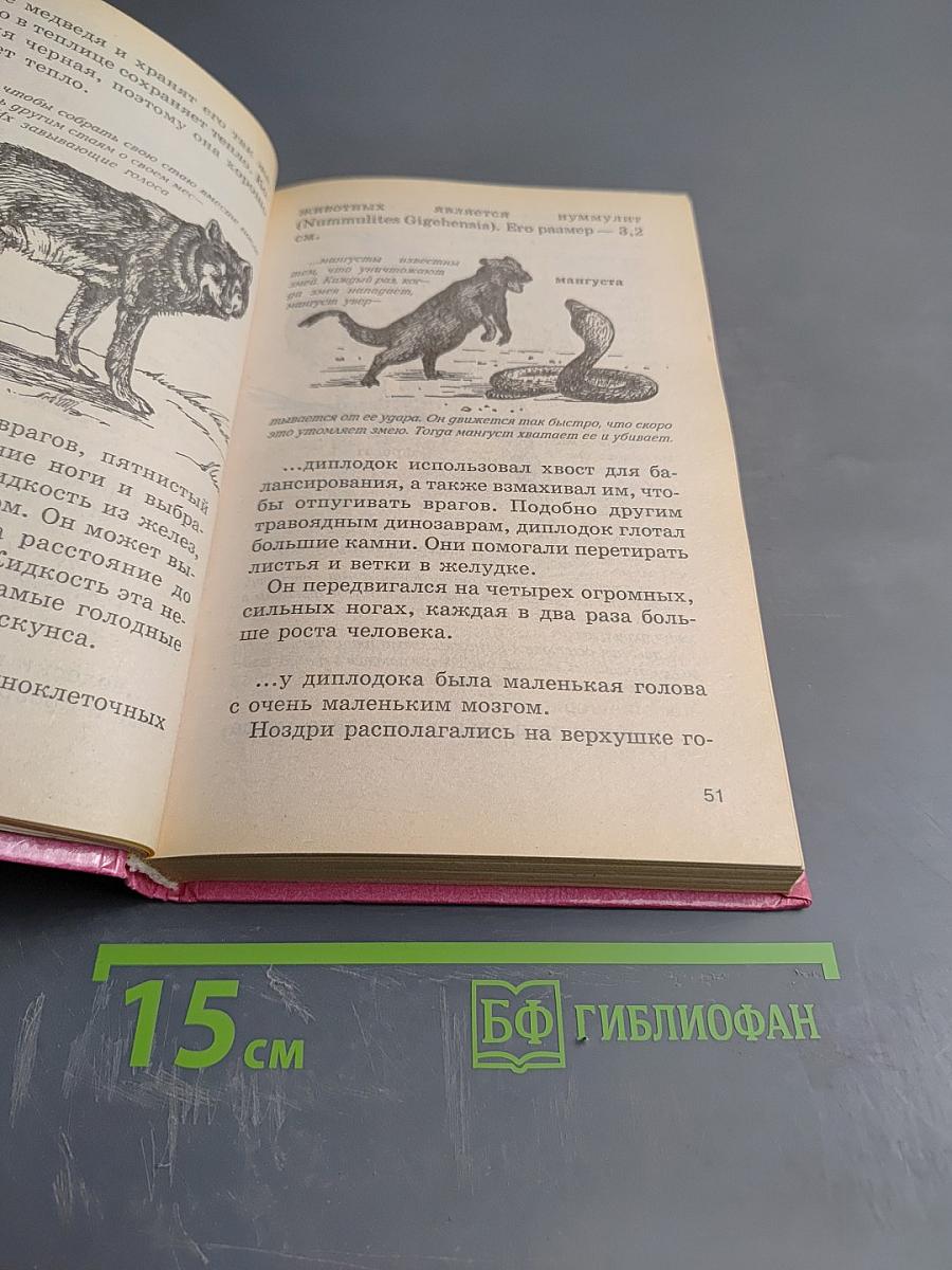 Знаете ли вы?