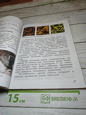 Окружающий мир. 3 класс. Часть первая