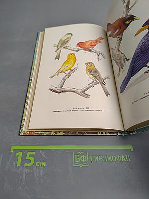 Говорящие птицы