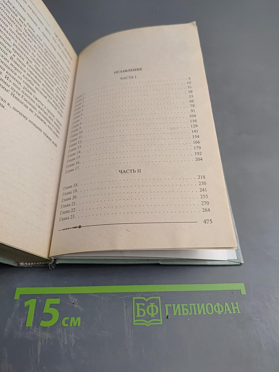 Ричард Длинные Руки — паладин Господа