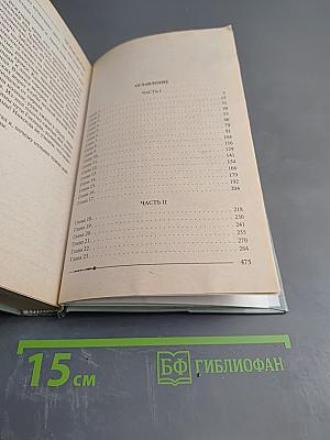 Ричард Длинные Руки — паладин Господа