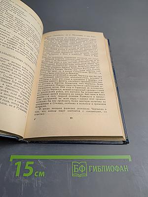 Семнадцать мгновений весны