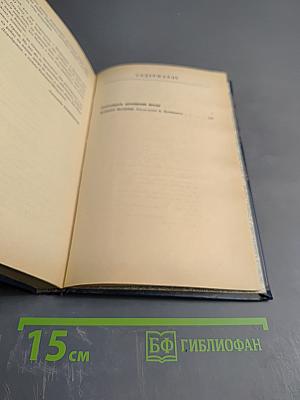 Семнадцать мгновений весны