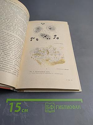 Медицинская паразитология