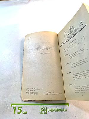 Кухня Холостяка