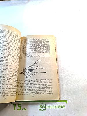 Кухня Холостяка