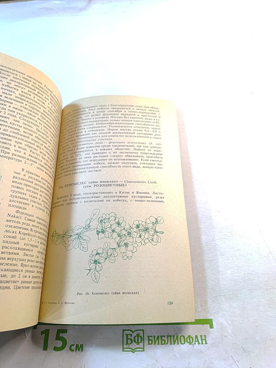 Деревья и кустарники для любительского садоводства и озеленения