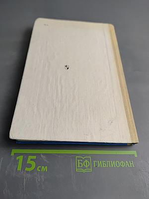 Перспектива