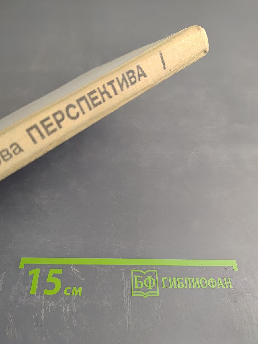 Перспектива