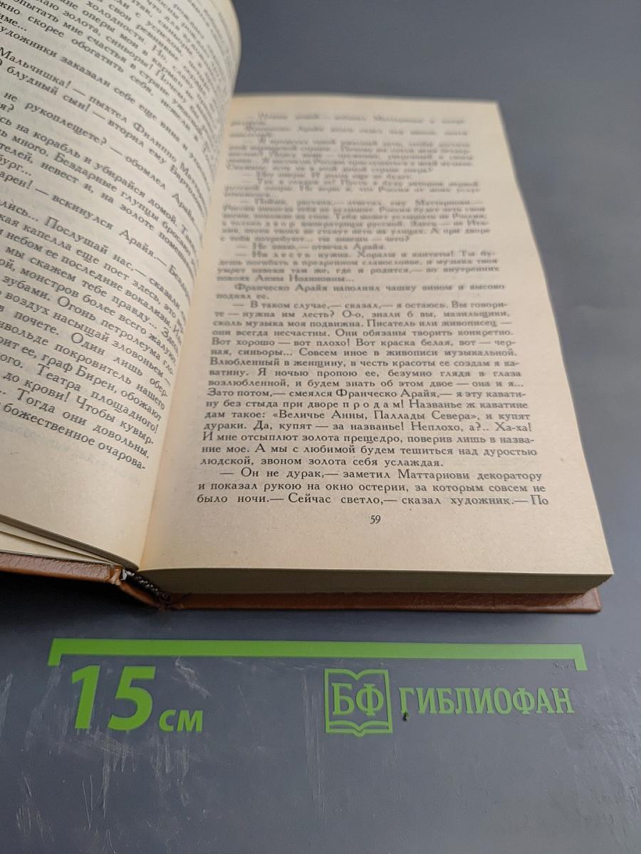Слово и дело. Роман-хроника времен Анны Иоанновны. Книга 2: Мои любезные конфиденты