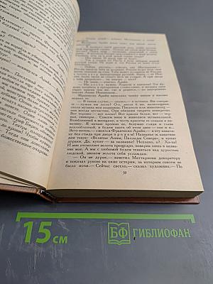 Слово и дело. Роман-хроника времен Анны Иоанновны. Книга 2: Мои любезные конфиденты
