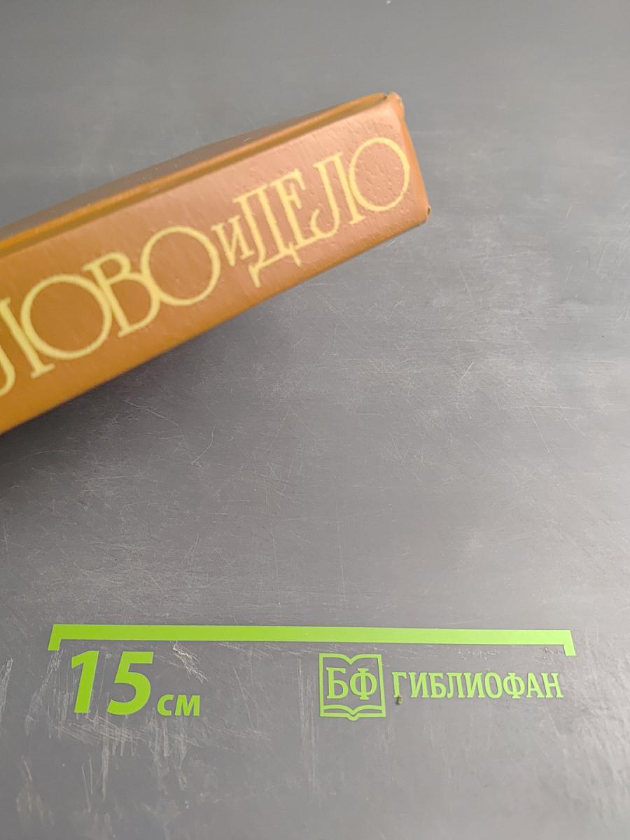 Слово и дело. Роман-хроника времен Анны Иоанновны. Книга 2: Мои любезные конфиденты