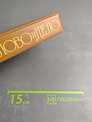 Слово и дело. Роман-хроника времен Анны Иоанновны. Книга 2: Мои любезные конфиденты