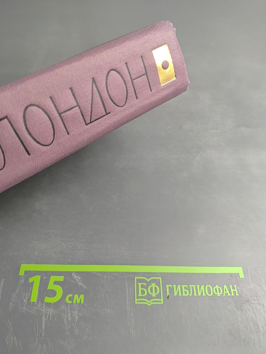 Собрание сочинений в четырнадцати томах. Том 6