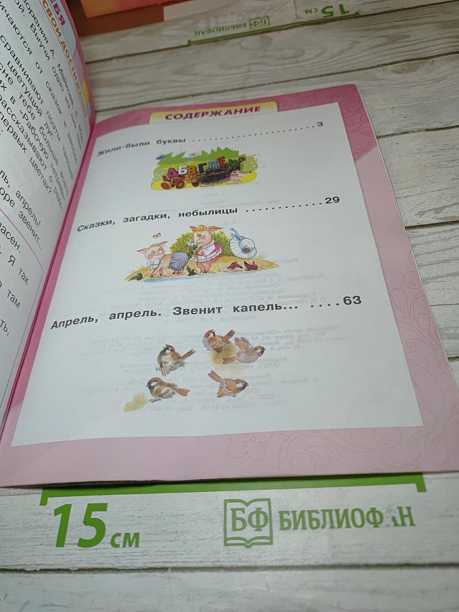 Литературное чтение. 1 класс. Часть 1