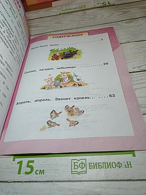 Литературное чтение. 1 класс. Часть 1