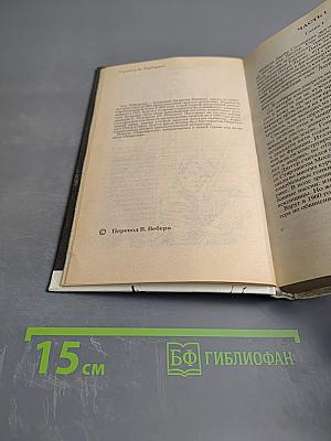 Детектив США