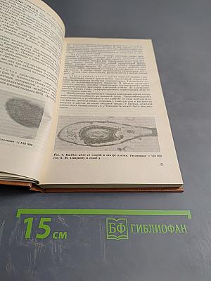 Болезни и вредители медоносных пчел. Справочник