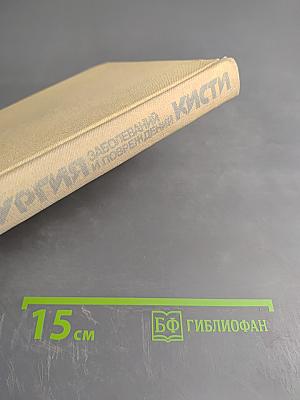 Хирургия заболеваний и повреждений кисти