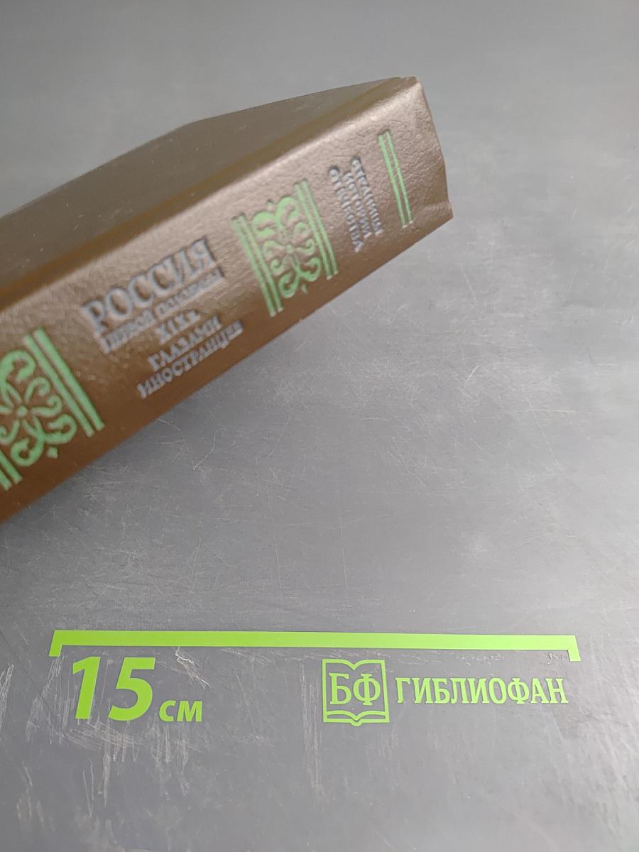 Россия первой половины XIX в. Глазами иностранцев