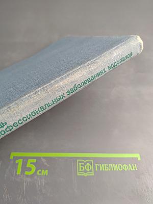 Медицинская помощь при утоплении и профессиональных заболеваниях водолазов (Руководство для врачей)