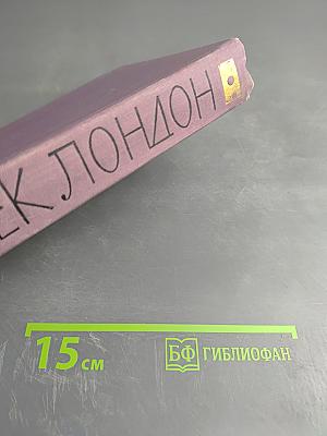 Собрание сочинений в четырнадцати томах. Том 4