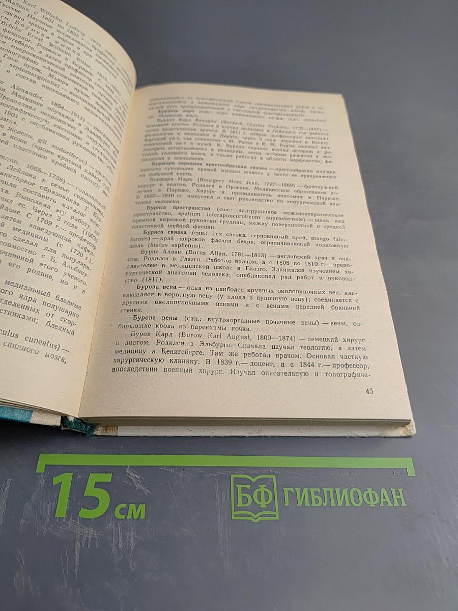 Справочник. Эпонимы в морфологии